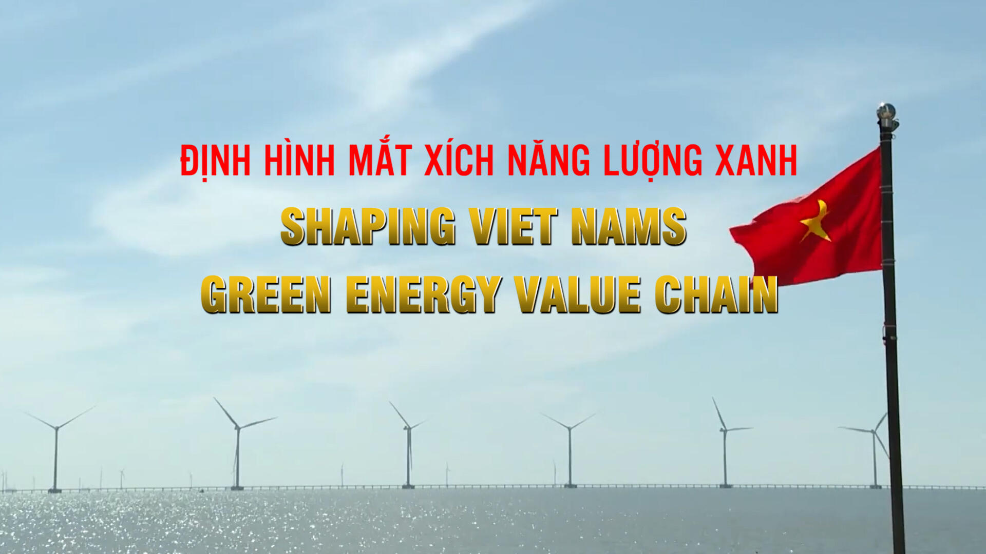 Shaping Viet Nam’s green energy value chain
